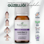 Lavanta Yağı (Uçucu) 10 ML